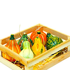 Image showing Gourds in crate