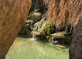 Image showing Ein Gedi Nature Reserve off the coast of the Dead Sea