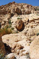 Image showing Ein Gedi Nature Reserve off the coast of the Dead Sea