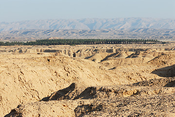 Image showing Arava desert in the first rays of the sun