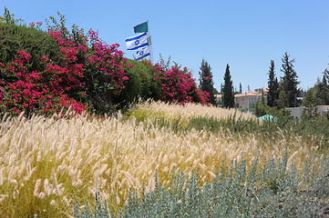 Image showing Neighborhood the monastery Latrun 