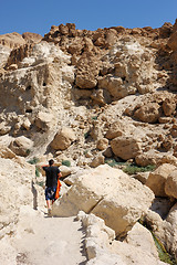 Image showing Ein Gedi Nature Reserve off the coast of the Dead Sea