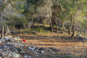 Image showing Walking in the mountains