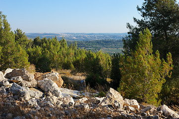 Image showing Mountain forest in Israel