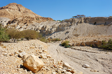 Image showing Ein Gedi Nature Reserve off the coast of the Dead Sea