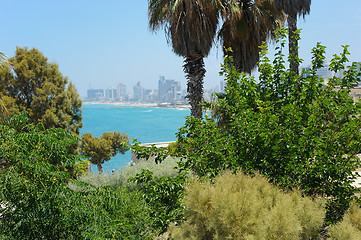 Image showing Sea coast and the view of Tel Aviv