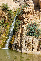 Image showing Ein Gedi Nature Reserve off the coast of the Dead Sea