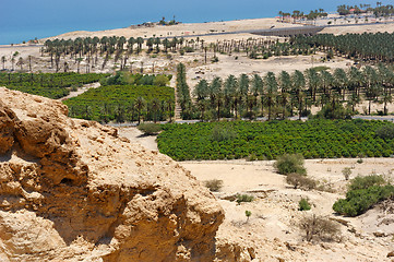 Image showing View of the Dead Sea from the slopes of the Judean mountains.