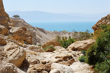 Image showing Ein Gedi Nature Reserve off the coast of the Dead Sea