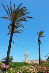 Image showing Old Jaffa