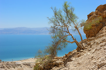 Image showing View of the Dead Sea from the slopes of the Judean mountains.