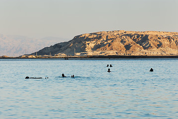 Image showing Swimming in the Dead Sea