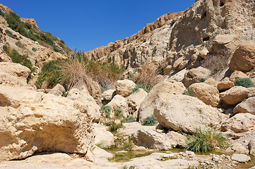 Image showing Ein Gedi Nature Reserve off the coast of the Dead Sea