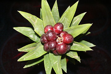 Image showing Pineapple with grapes