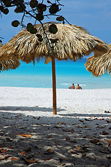 Image showing Tropical Beach