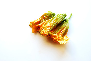 Image showing three squash flowers
