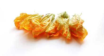 Image showing four squash flowers isolated