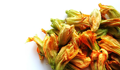 Image showing multiple squash flowers