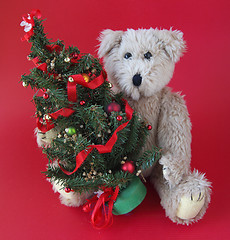 Image showing Christmas tree with teddy bear