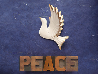 Image showing white dove with the word peace