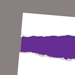 Image showing torn paper reveal purple