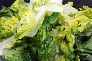 Image showing lettuce