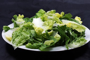 Image showing lettuce