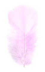 Image showing pink feather