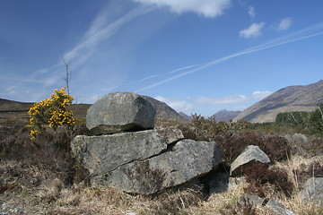 Image showing GRANITE ROCKS