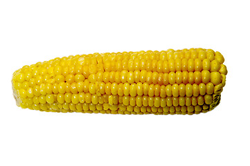 Image showing Corn