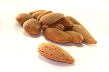 Image showing Almonds