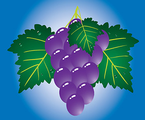 Image showing Grape.