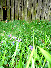 Image showing broken fence