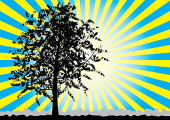 Image showing Tree silhouette on sky rays background.