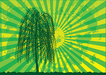 Image showing Tree silhouette on grunge rays background.