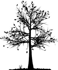 Image showing Tree silhouette.