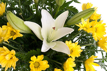 Image showing Detail of yellow daisy flowers 