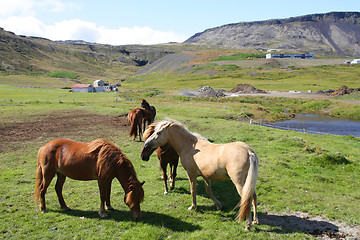 Image showing Iceland