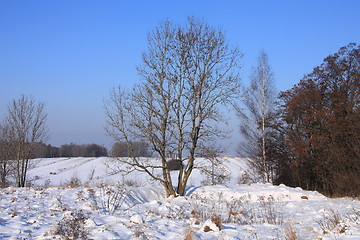 Image showing Winter in Poland