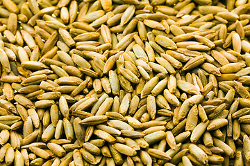 Image showing Grain