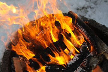 Image showing Campfire