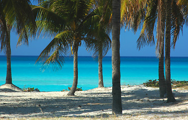 Image showing Tropical Beach