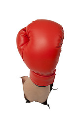 Image showing Box glove