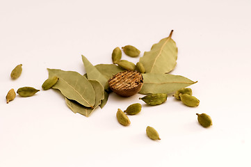 Image showing Bay Leaf, cardamom and nutmeg