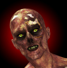 Image showing Moldy Zombie