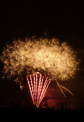 Image showing Fireworks In Barkingside