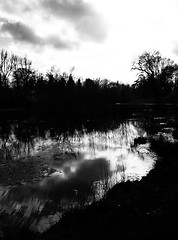 Image showing Lydiard Park Lake View