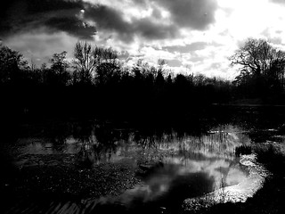 Image showing Lydiard Park Lake View