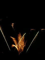 Image showing Fireworks In Barkingside