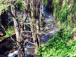 Image showing Follow the river. Kakopetria. Cyprus